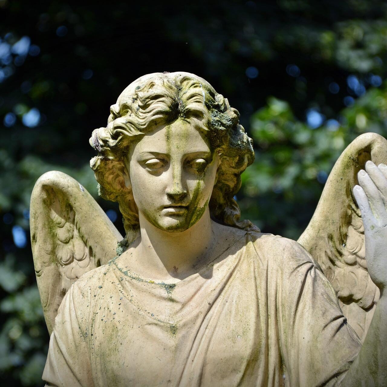 Trauer-13-©-Pixabay-aspect-ratio-1-1