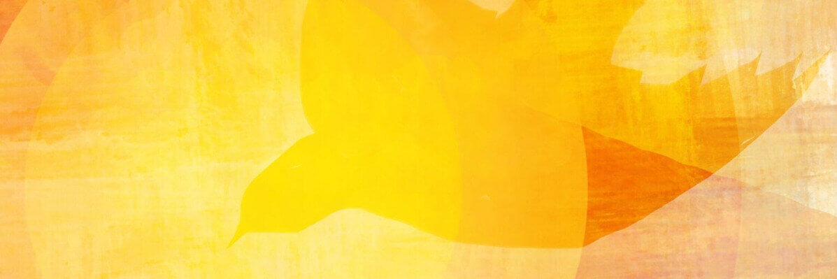 Firmung-Header